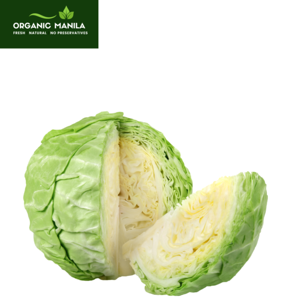 Cabbage / Repolyo