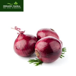 Red Onion / Sibuyas