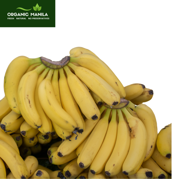 Banana Lakatan