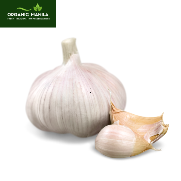 Garlic