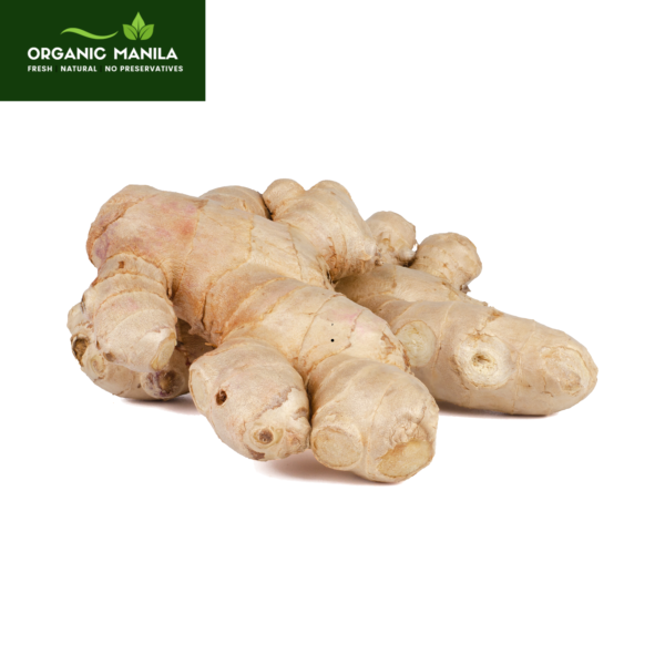 Ginger / Luya